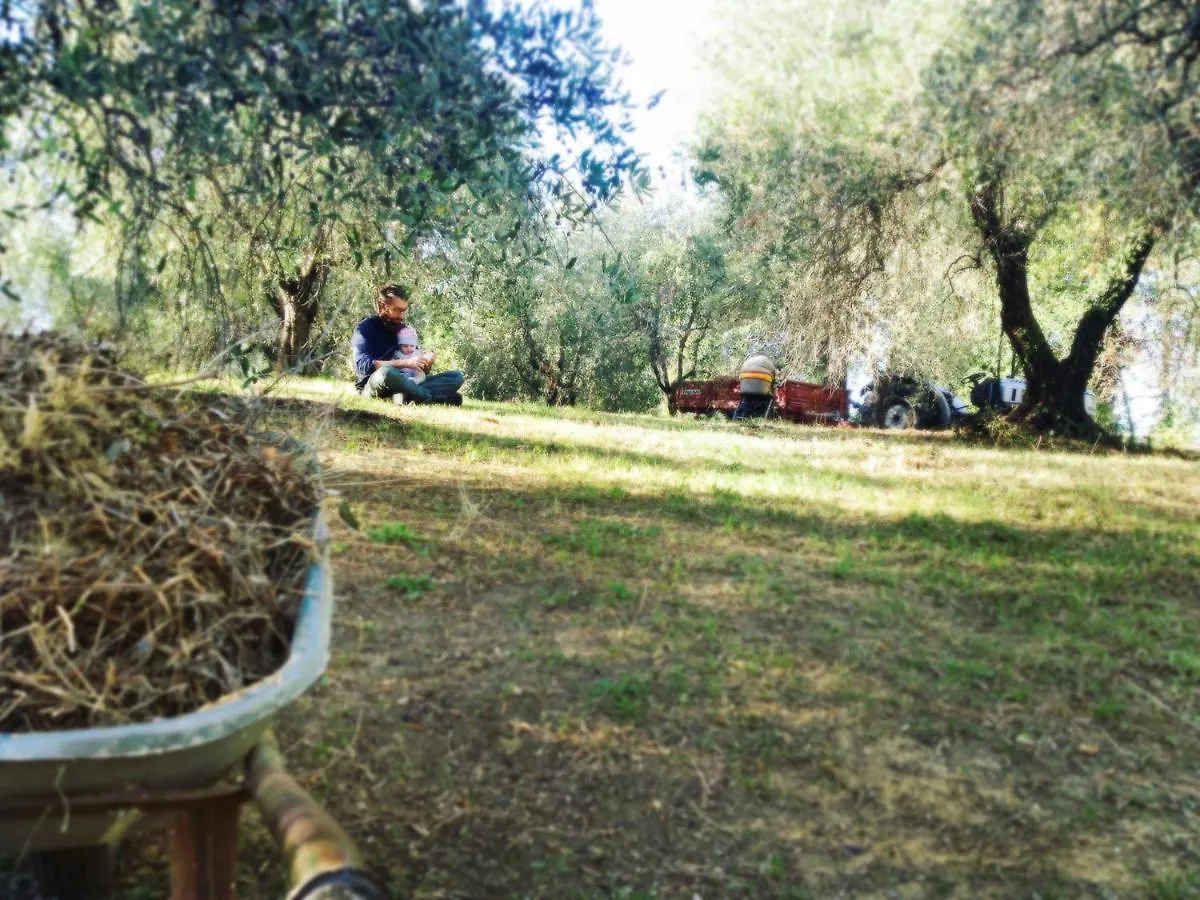Agriturismo Colle Prana Villa Lorenzana